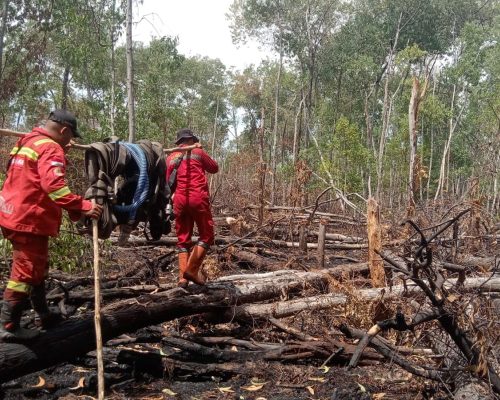 Manggala Agni tuntaskan operasi pemadaman karhutla di Pulau Bengkalis