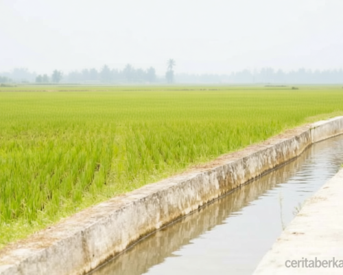 Rencana Khusus: Kementan-PU optimalkan pengelolaan air antisipasi kekeringan di Jateng