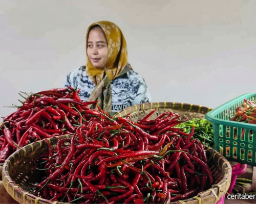 Terkendala Pasokan – Harga Komoditas Pangan seperti Beras dan Daging Sapi masih Tinggi