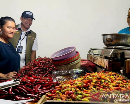 Rencana Khusus: PIHPS: Harga cabai rawit Rp75.900/kg, telur ayam Rp32.400/kg
