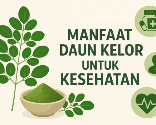 10 Manfaat Daun Kelor untuk Kesehatan Tubuh, Terbukti Ampuh!