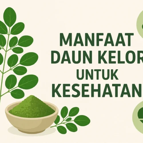 10 Manfaat Daun Kelor untuk Kesehatan Tubuh, Terbukti Ampuh!
