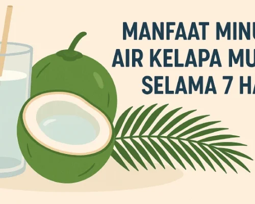 20 Manfaat Minum Air Kelapa Muda Selama 7 Hari