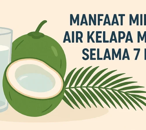 20 Manfaat Minum Air Kelapa Muda Selama 7 Hari