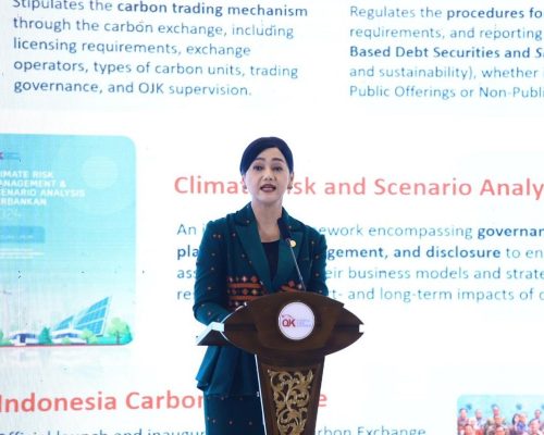 Pembahasan Penting: Ketua OJK Friderica Widyasari Diminta Percepat Reformasi Pasar Modal