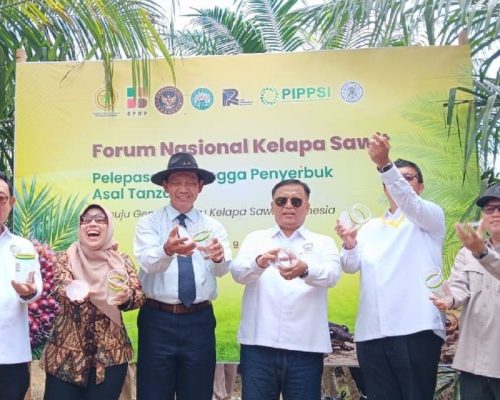 Strategi Penting: Kementan dan Gapki kenalkan serangga penyerbuk terbaru kelapa sawit
